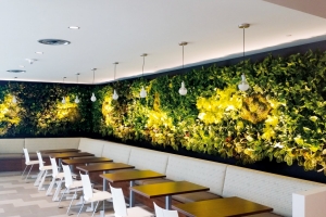 NEXTGEN-Living-Wall-05