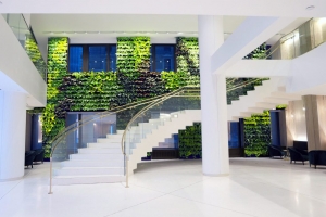 NEXTGEN-Living-Wall-66-1024x634-1024x634