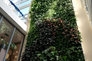 NextGen-Living-Wall-207