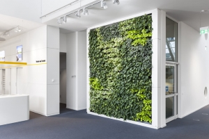 nextgen-livingwall